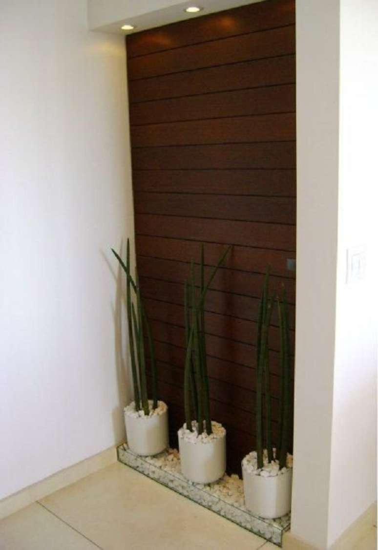 24. Hall de entrada com painel de madeira e vasos de plantas &ndash; Foto MC3 Arquitetura