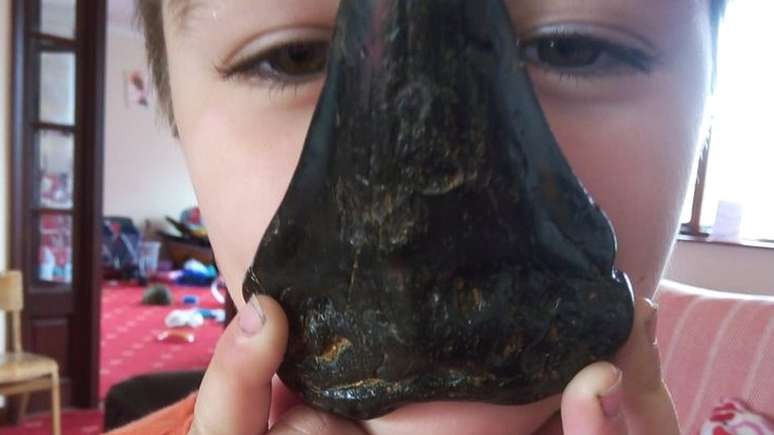 Sammy Shelton encontrou o dente gigante em uma praia de Suffolk, sul da Inglaterra