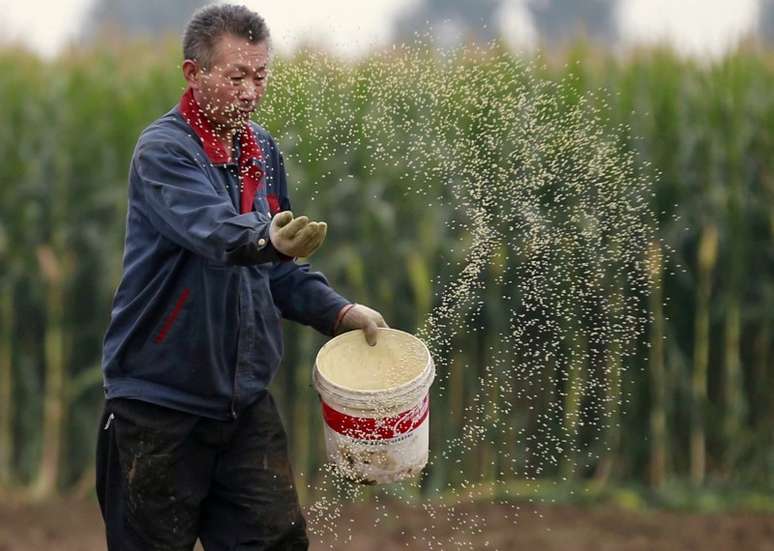 Agricultor em plantação de milho em Gaocheng
30/9/2015 REUTERS/Kim Kyung-Hoon