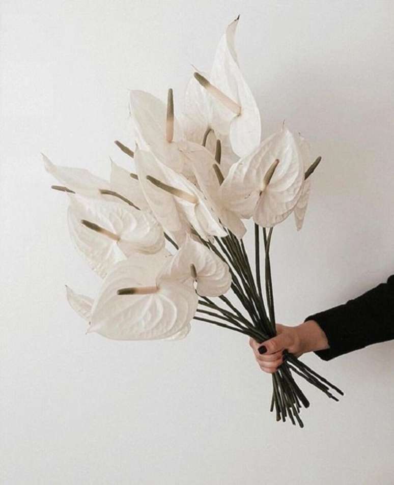 19. Arranjo com anturio branco para decoração moderna – Foto Hamptone Venthire
