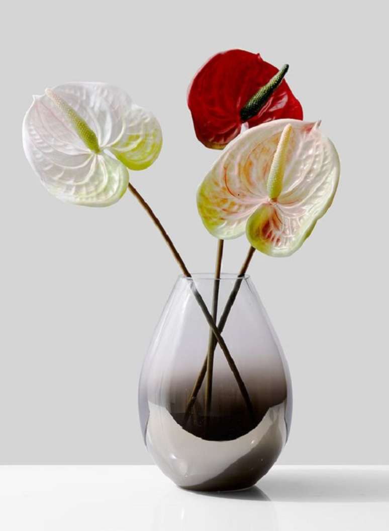 7. Anturio branco e vermelho – Foto Jamali Garden