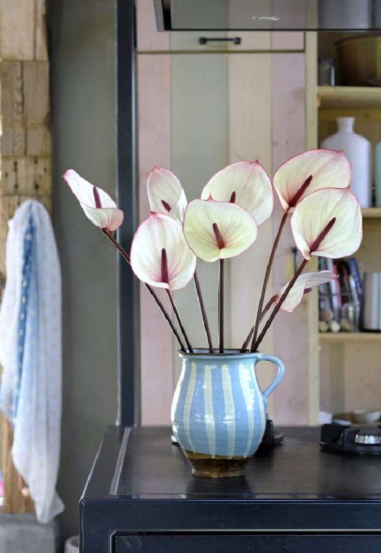 14. Anturio branco e roxo – Foto Anthurium Info