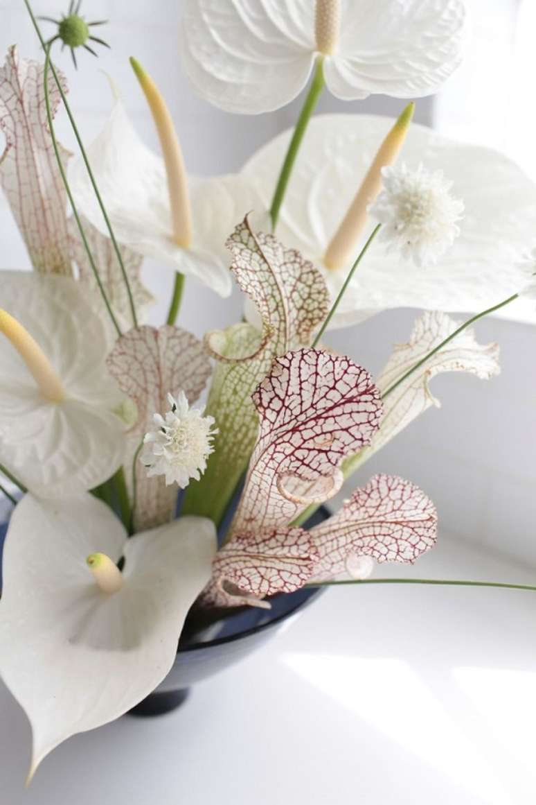 2. Antúrio branco para vaso preto – Foto Gardenista