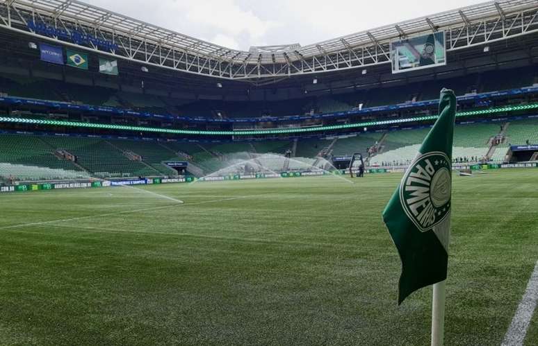 Palmeiras vai enfrentar o Emelec, nesta quarta-feira, na Allianz Parque, pela Liberta (Foto: Divulgação/Palmeiras)