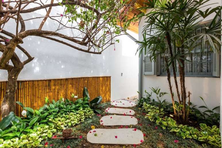 43. Quintal com bambu ornamental com plantas no canteiro &ndash; Foto By Arqe Design