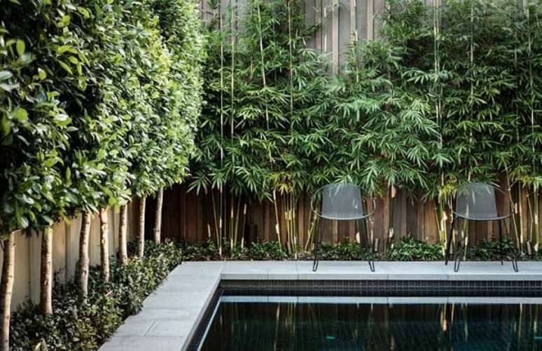 42. Piscina decorado com bambu ornamental &ndash; Foto Decor Facil