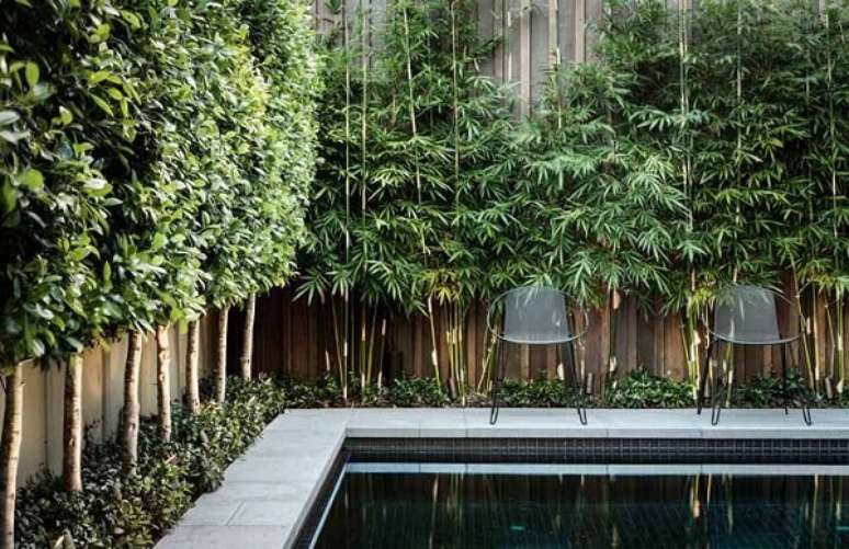 42. Piscina decorado com bambu ornamental – Foto Decor Facil