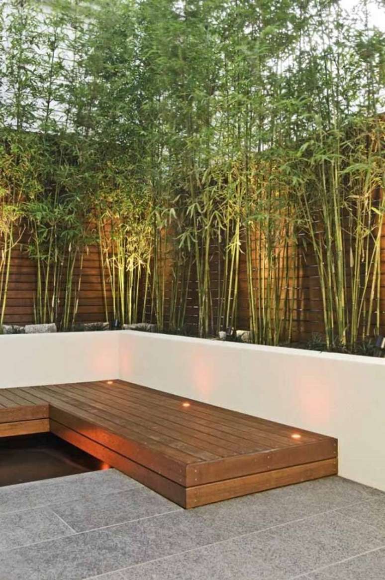 19. Bambu ornamental para quintal &ndash; Foto Decor Facil