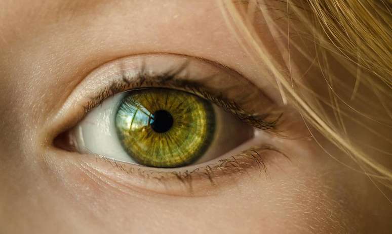 A Episkin, empresa do Grupo L’Oréal que trabalha com engenharia tecidual, passará a fabricar córneas reconstruídas para utilização em testes de irritação ocular