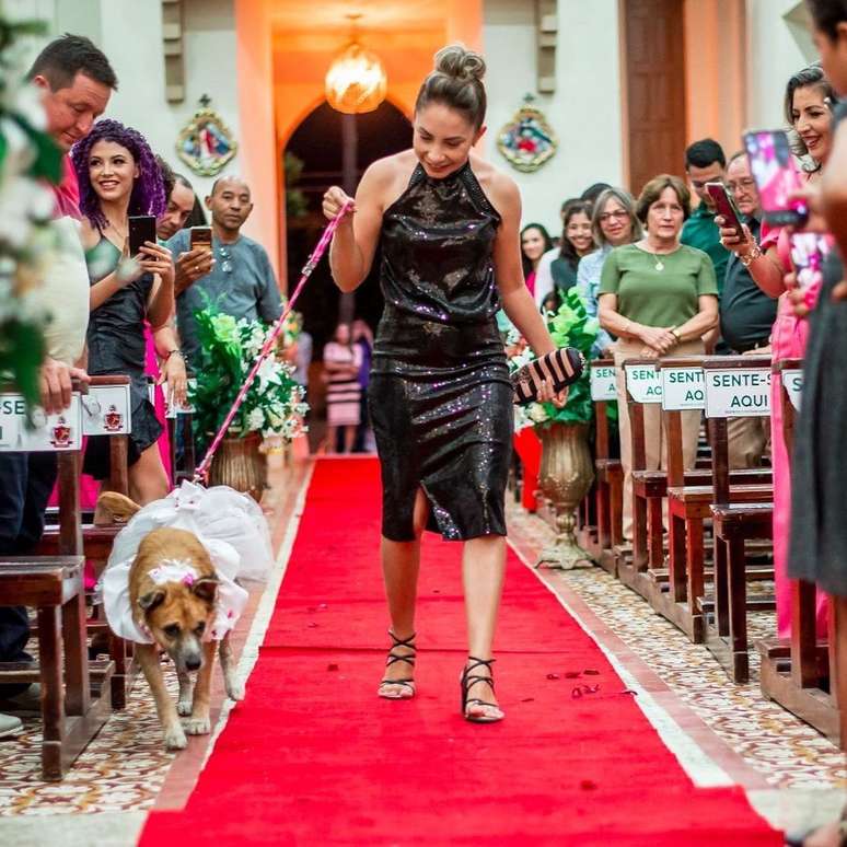 Padre encerra casamento no CE após ver cachorros com alianças