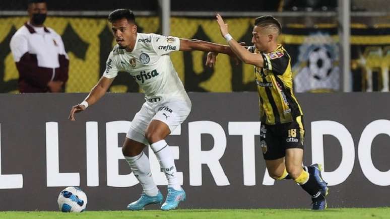 Palmeiras x Táchira terá transmissão em TV aberta e no pay-per-view (Foto: Cesar Greco/Palmeiras)