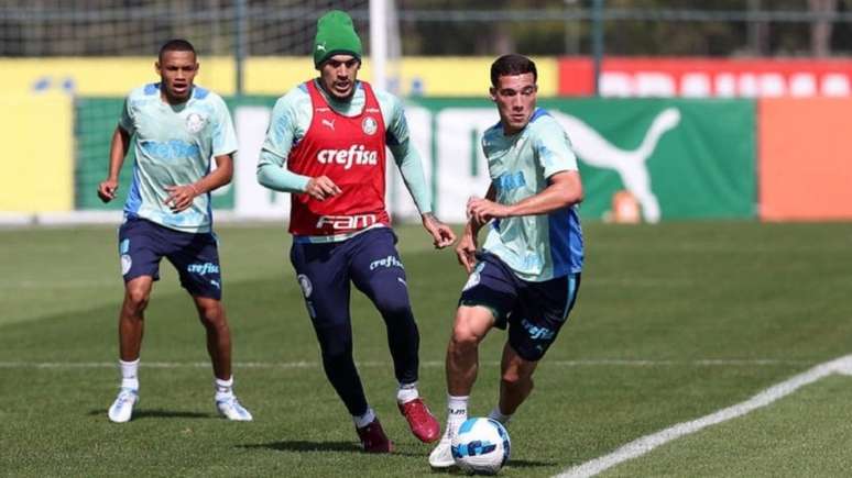 Ausente por suspensão diante do Juventude, Gómez treinou em campo neste domingo (Foto: Cesar Greco/Palmeiras)