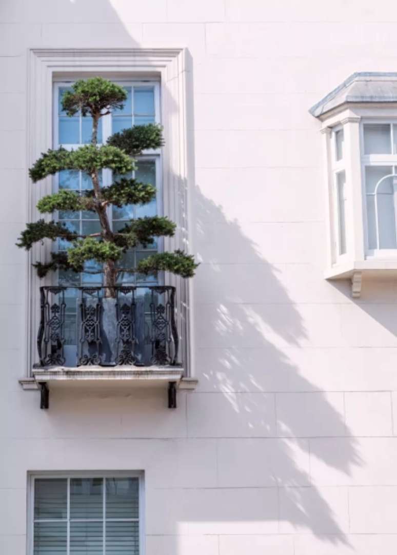 Mesmo um pequeno peitoril de janela como este pode ser transformado com uma declaração ousada. Uma árvore ornamental adiciona uma sensação de floresta a esta cena urbana.