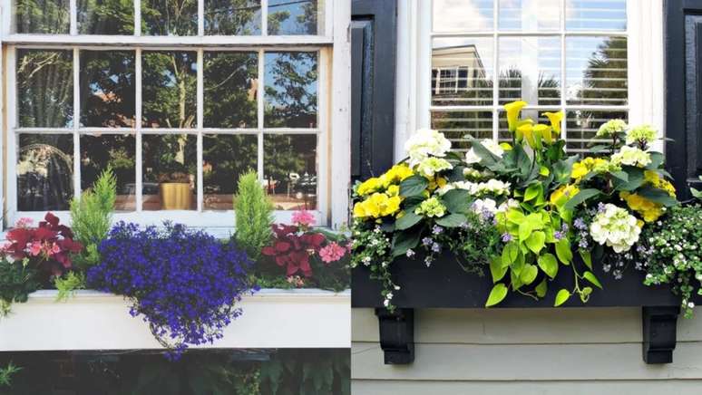 Para janelas mais largas, opte por plantadores extra longos. Dessa forma, voc&ecirc; pode realmente aproveitar ao m&aacute;ximo o espa&ccedil;o para criar uma vista que voc&ecirc; vai adorar. / Amarelo, branco, roxo e verde enviam uma mensagem colorida de que a primavera chegou. As flores, aqui, saltam contra a madeira preta.