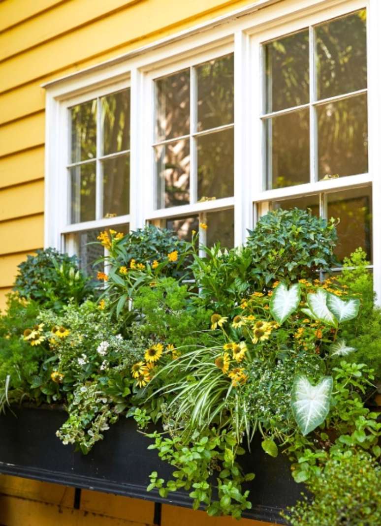 Aqui, flores amarelas combinam com o exterior da casa e a folhagem de caládio branco combina com os caixilhos das janelas. Ervas como tomilho, orégano e hortelã preenchem o cenário que fica perto de uma mesa de jantar ao ar livre.