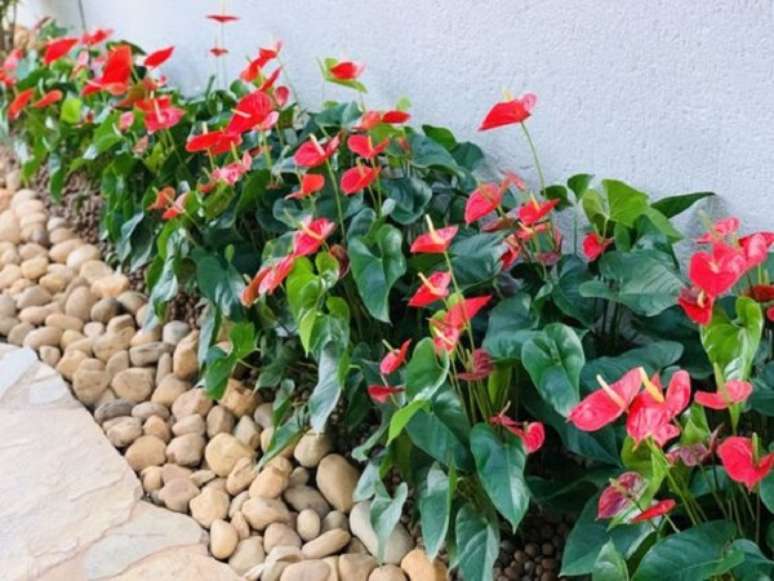 9. Ideias de jardim no quintal com canteiro de flores e pedras – Foto Arkpad