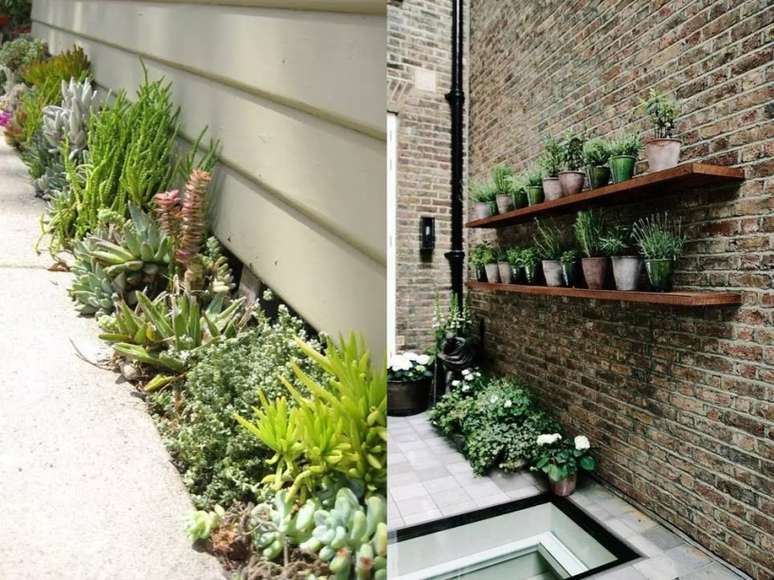 Para ter vegeta&ccedil;&atilde;o, suculentas e flores ao longo da borda da casa voc&ecirc; n&atilde;o precisa projetar um gramado! J&aacute; as prateleiras de madeira com fileiras de recipientes s&atilde;o simples e uma solu&ccedil;&atilde;o f&aacute;cil.