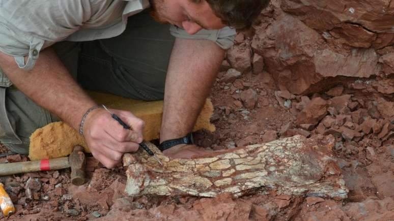 Fósseis do pterossauro recém-identificado estavam enterrados em rochas há 86 milhões de anos