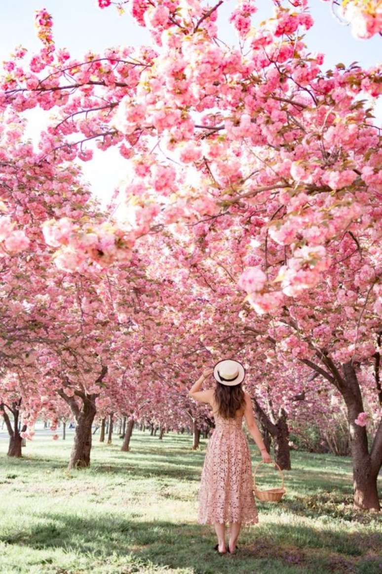 19. Jardim com árvore de flor de cerejeira – Foto Sea of Blush