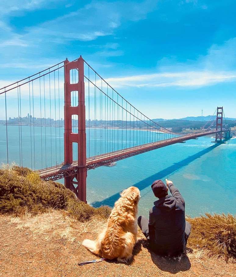 Morte de influenciador e golden retriever causou como&ccedil;&atilde;o nas redes sociais