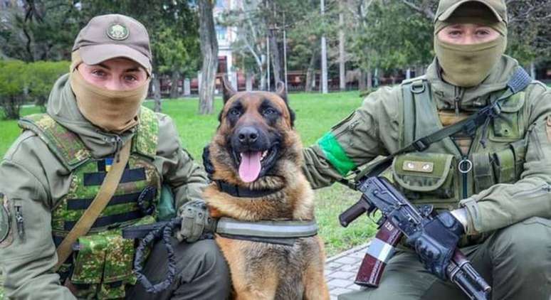 O cachorro Max aprendeu comandos em ucraniano e agora trabalha para as tropas do país
