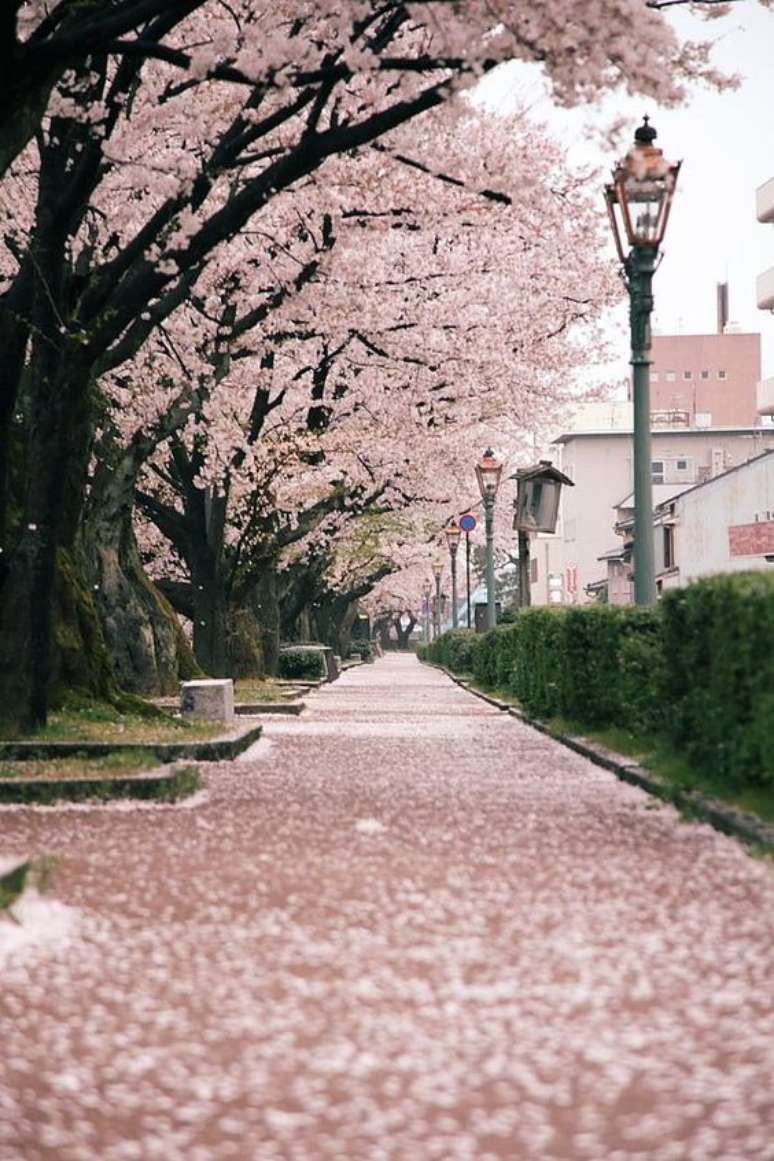 31. Árvore de flor de cerejeira – Foto Wedluxe