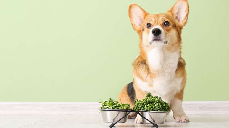 A alimentação natural oferece comidas à base de frutas, vegetais e carnes