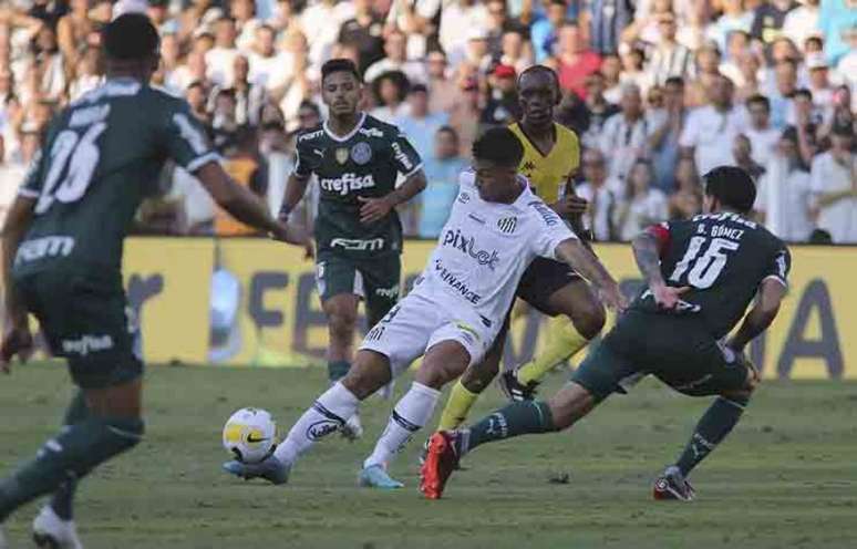 Santos perdeu para o Palmeiras por 1 a 0 neste domingo (Foto: Mauricio de Souza / LancePress!)