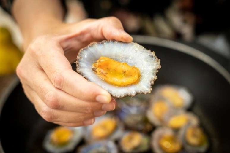 As lapas, típicas da Madeira: conchinhas deliciosas