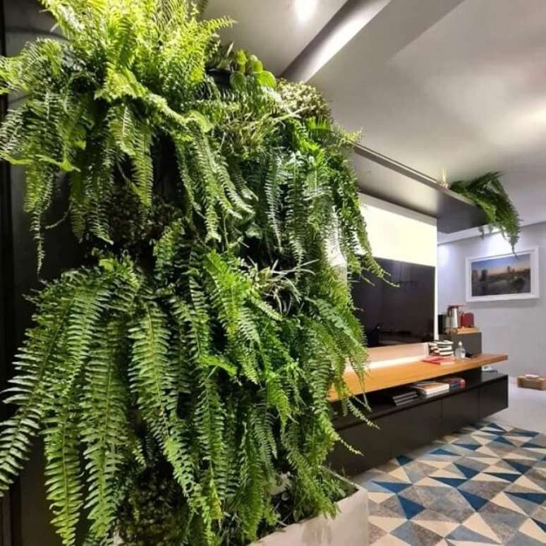 48. Parede de plantas: lindas e robustas samambaias decoram a sala de tv. Fonte: Mariana Abreu