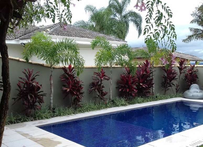 38. Folhagem para jardim perto da piscina de casa &ndash; Foto Cia Jardim Paisagismo
