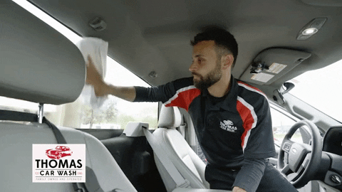 Higieniza&ccedil;&atilde;o da parte interior do carro