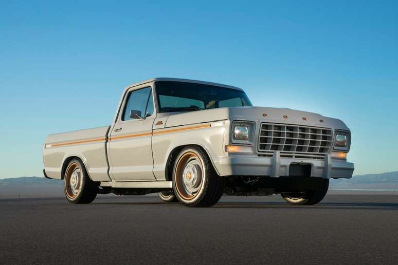 Ford F-100 Eluminator