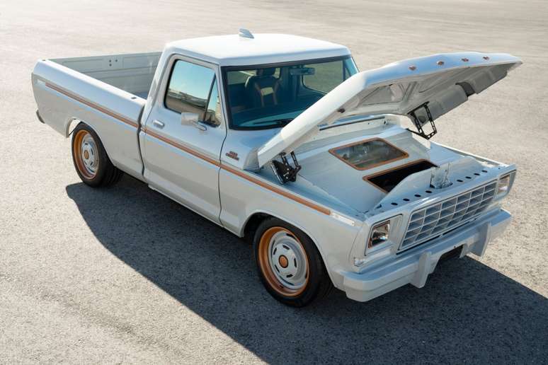 Ford F-100 Eluminator