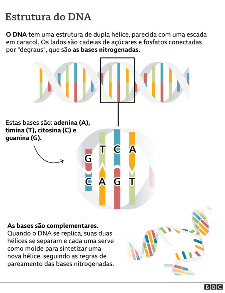 Modelo de elemento infográfico de 4 escadas de degraus