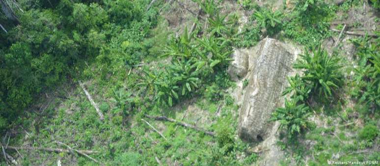 Aldeia no Vale do Javari. Garimpeiros e madeireiros agem impunimente na regi&atilde;o, segundo ind&iacute;genas