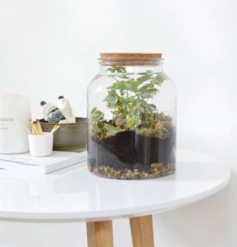 3. Pote de vidro para terr&aacute;rio fechado e tampa de corti&ccedil;a. Fonte: Decor F&aacute;cil