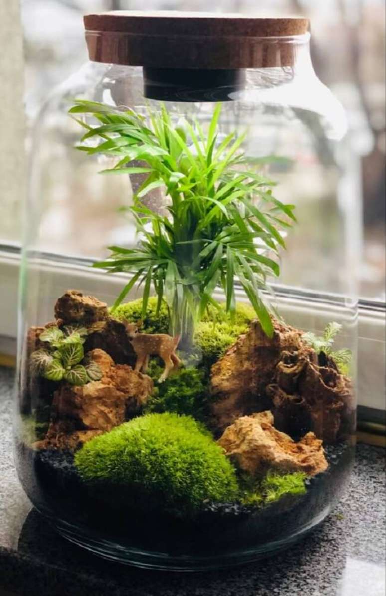 14. Os terr&aacute;rios s&atilde;o pequenas estufas feitas em recipientes transparentes. Fonte: Tomasz Weis