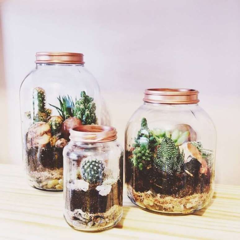 36. Potes de vidro e plantas para terr&aacute;rio fechado. Fonte: Decor F&aacute;cil