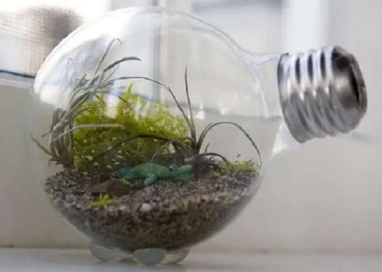 18. A estrutura de uma lâmpada pode ser usada no cultivo do terrário fechado. Fonte: Flickr