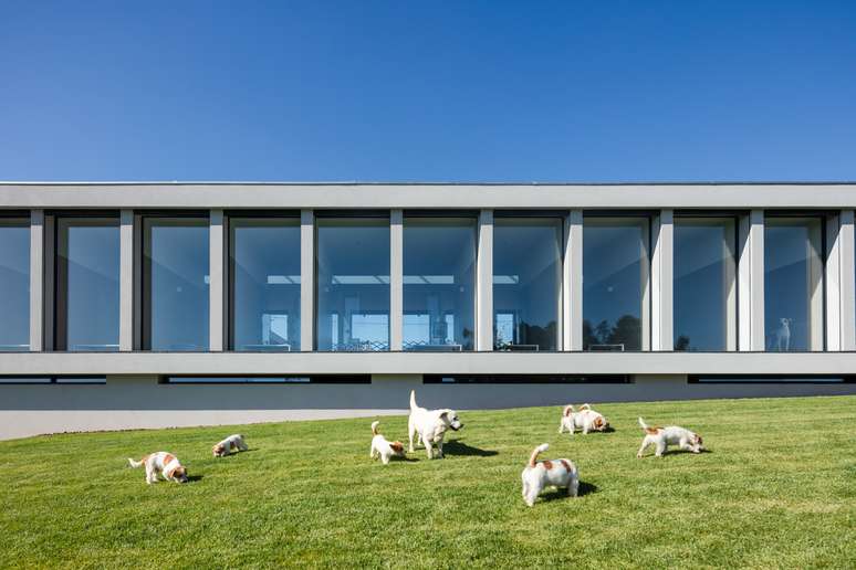 Hotel Canino projetado pelo arquiteto Raulino Silva em 2019