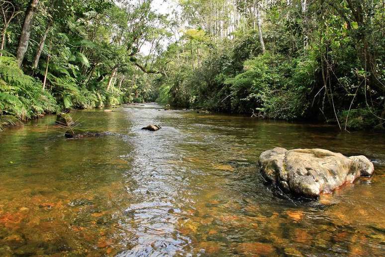 Matas preservadas e rios da fazenda Ribeirão da Serra estão sendo incorporadas ao Parque Estadual  Carlos Botelho, entre São Miguel Arcanjo e Sete Barras, no interior de São Paulo