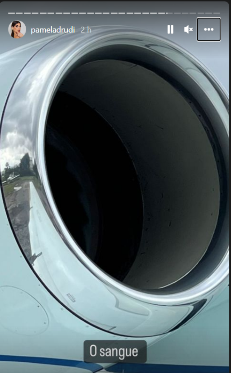 P&aacute;ssaro entrou em turbina de avi&atilde;o