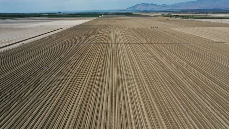 Califórnia enfrenta sua pior seca desde 1977