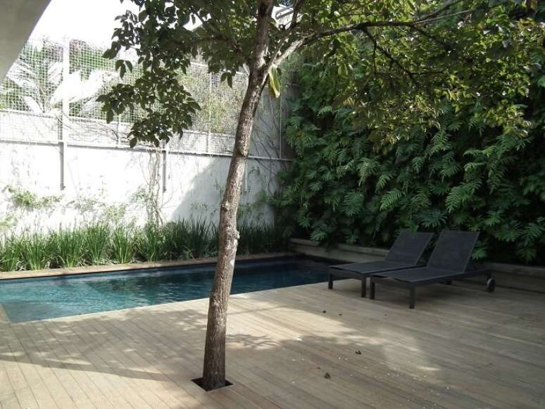 43. Área de lazer com parede de plantas e piscina retangular. Fonte: Alalou Paisagismo