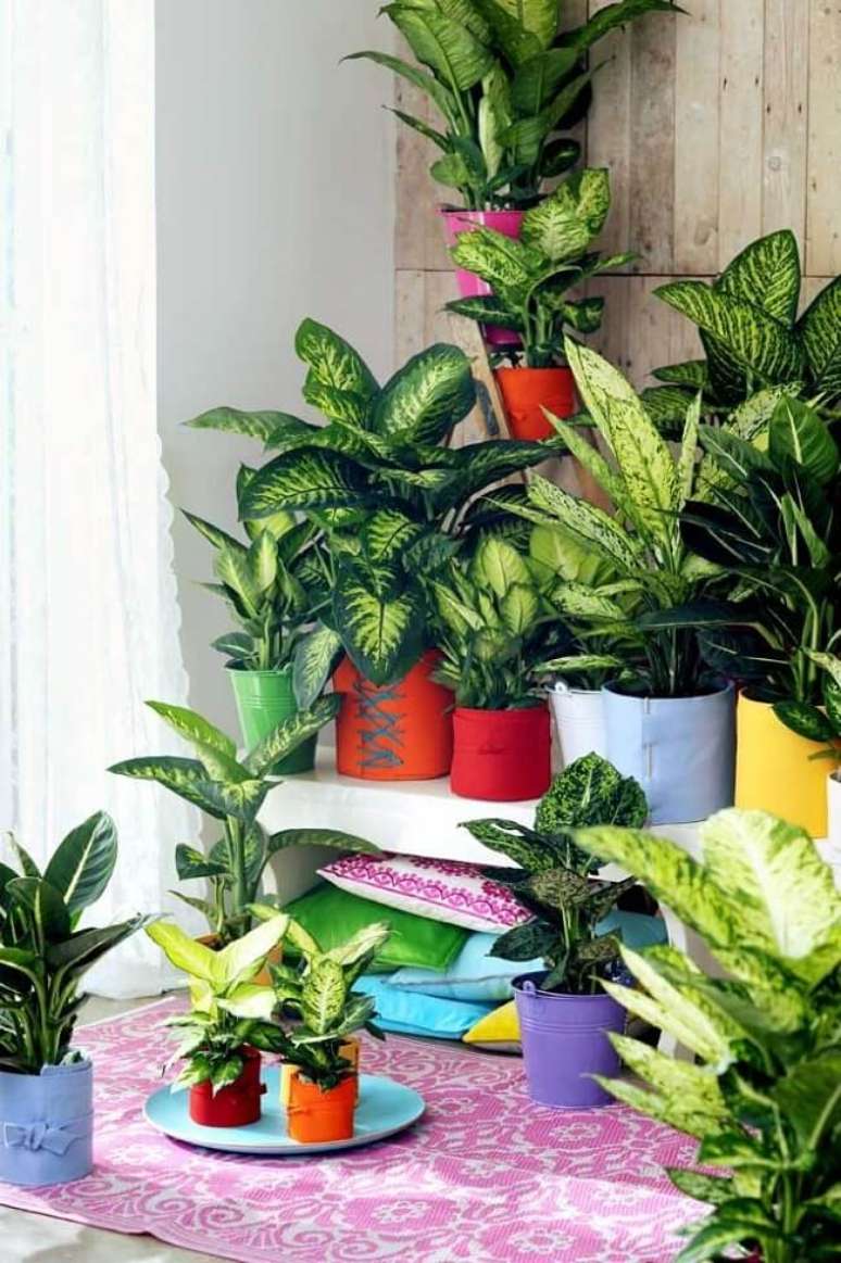 18. Um espa&ccedil;o exclusivo para os amantes da planta comigo-ningu&eacute;m-pode. Fonte: Decor F&aacute;cil