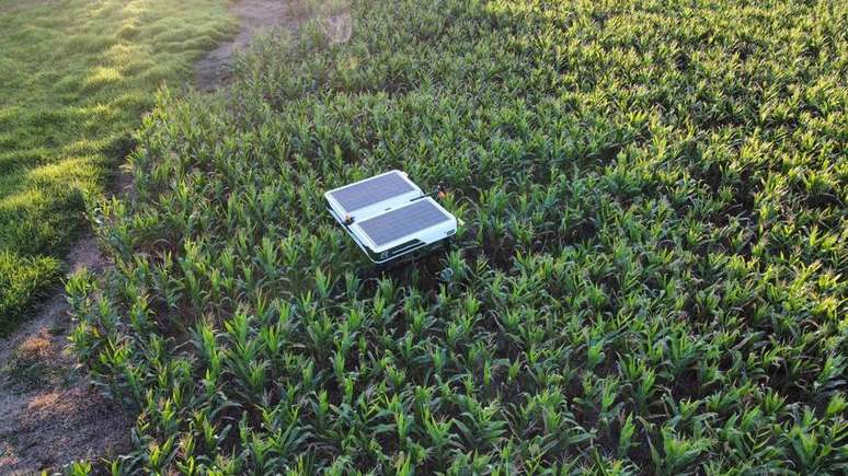 "Combust&iacute;vel" no campo;&nbsp;rob&ocirc; &eacute; movido a energia solar