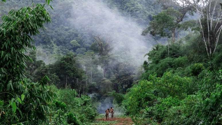 Segundo a Imazon, uma área quase três vezes maior do que a cidade de São Paulo teve exploração madeireira na Amazônia entre agosto de 2019 e julho de 2020