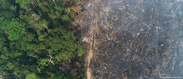 De 2008 a 2018, a Noruega transferiu R$ 6,2 bilhões para o Fundo Amazônia