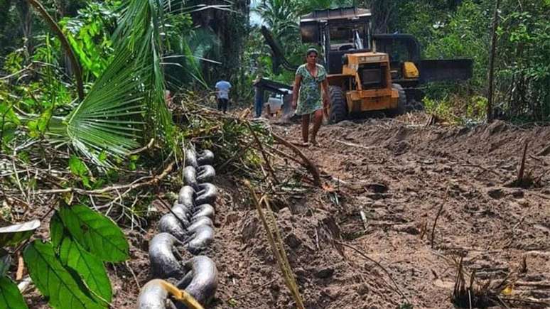 Desmatamento com correntão em território de grupos quilombolas